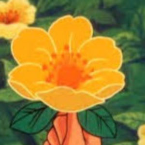 Meet your Posher, Audrey